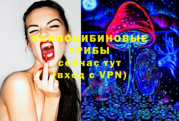 Альфа ПВП Кукмор