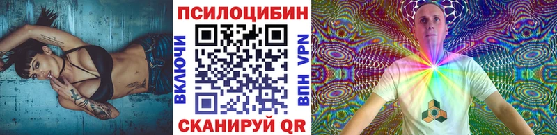 Галлюциногенные грибы Cubensis Каменногорск